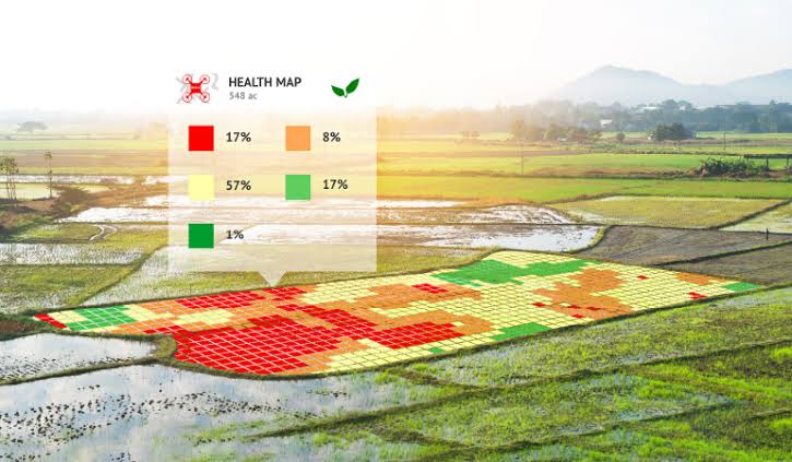 Orthophoto Generation